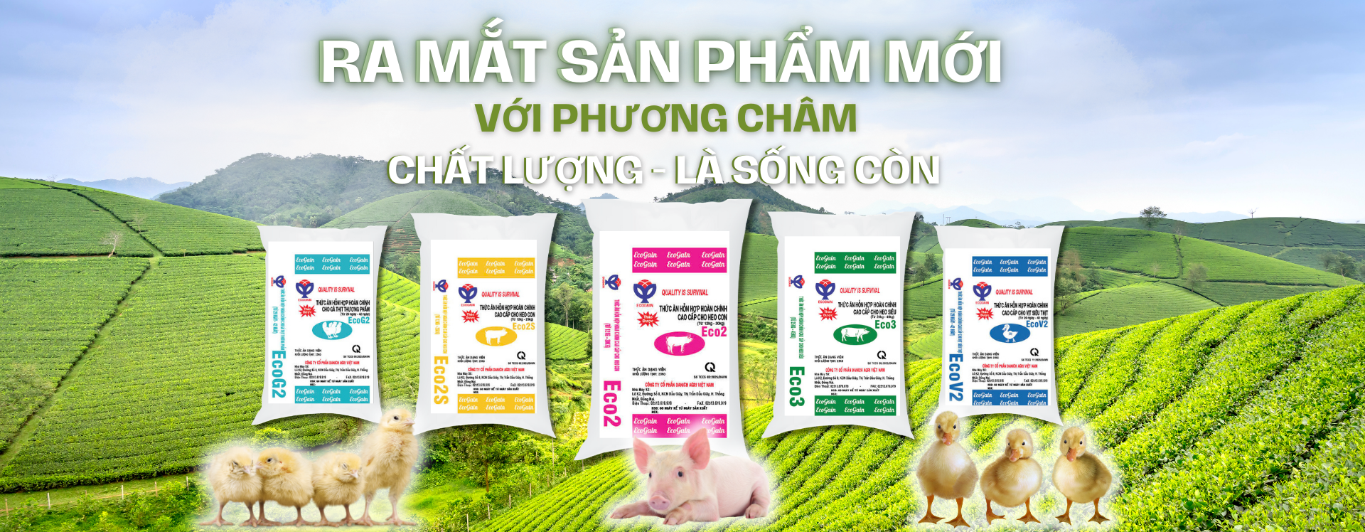 Ra mắt sản phảm mới