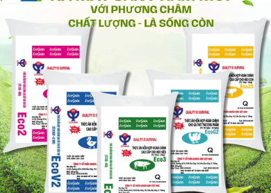DANICH AGRI VIỆT NAM - CÔNG BỐ RA MẮT SẢN PHẨM MỚI VÀO THÁNG 01 NĂM 2025