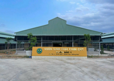 VƯỜN SINH THÁI CHIM CÚT XUÂN BẮC 1 - TRANG TRẠI CHIM CÚT LỚN NHẤT VIỆT NAM
